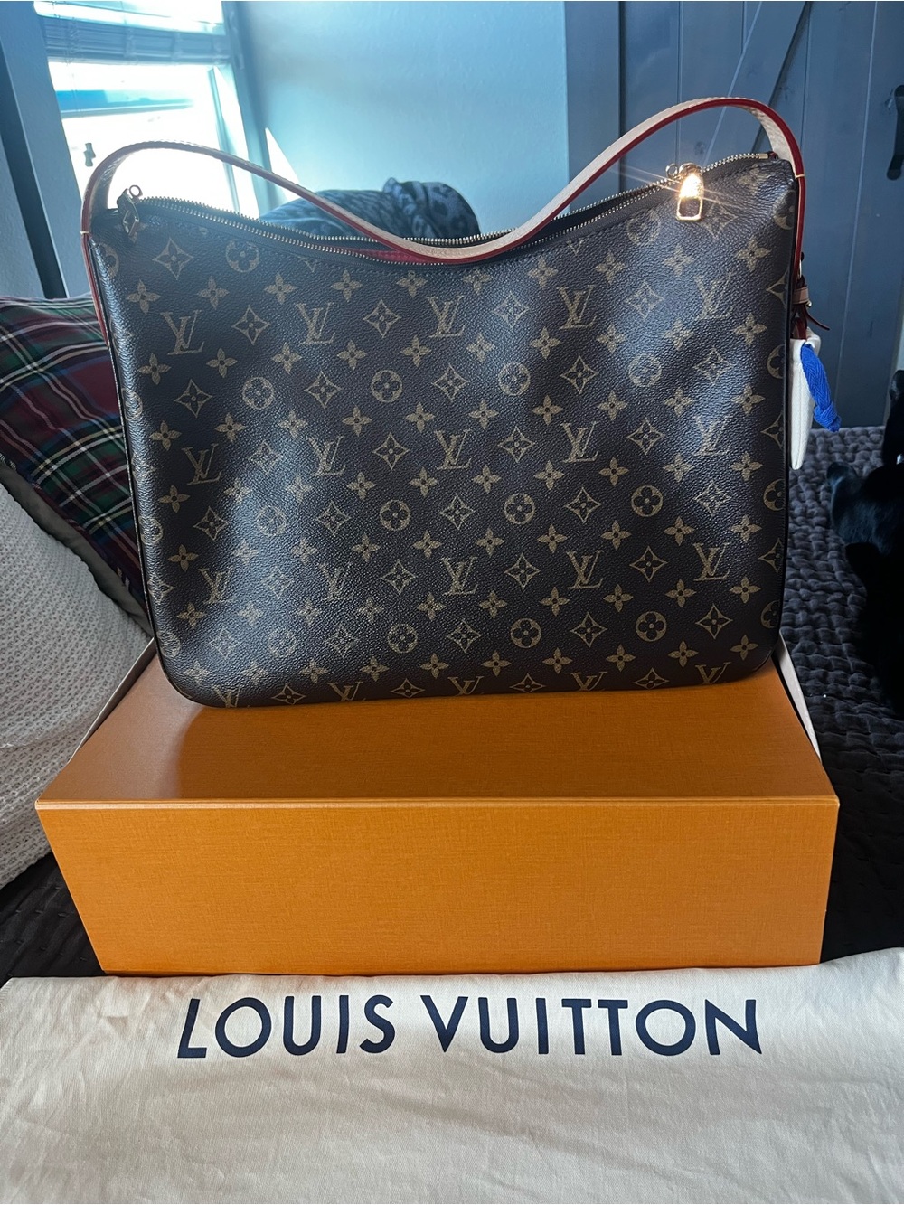 Louis Vuitton Slouchy MM Monogram Hobo Shoulder Bag